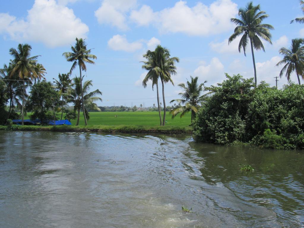 Marari Dreamz Villa Alappuzha Room photo